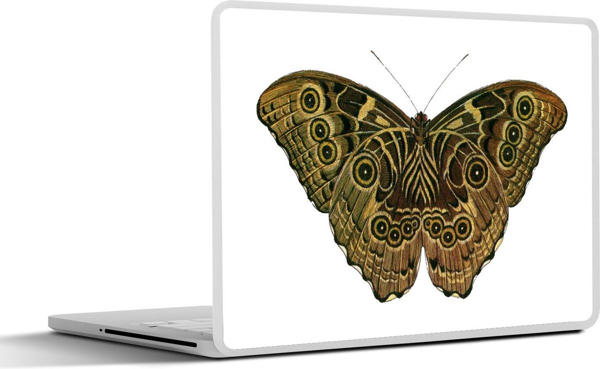 Laptop sticker - 10.1 inch - Illustratie van een Enodia anthedon vlinder