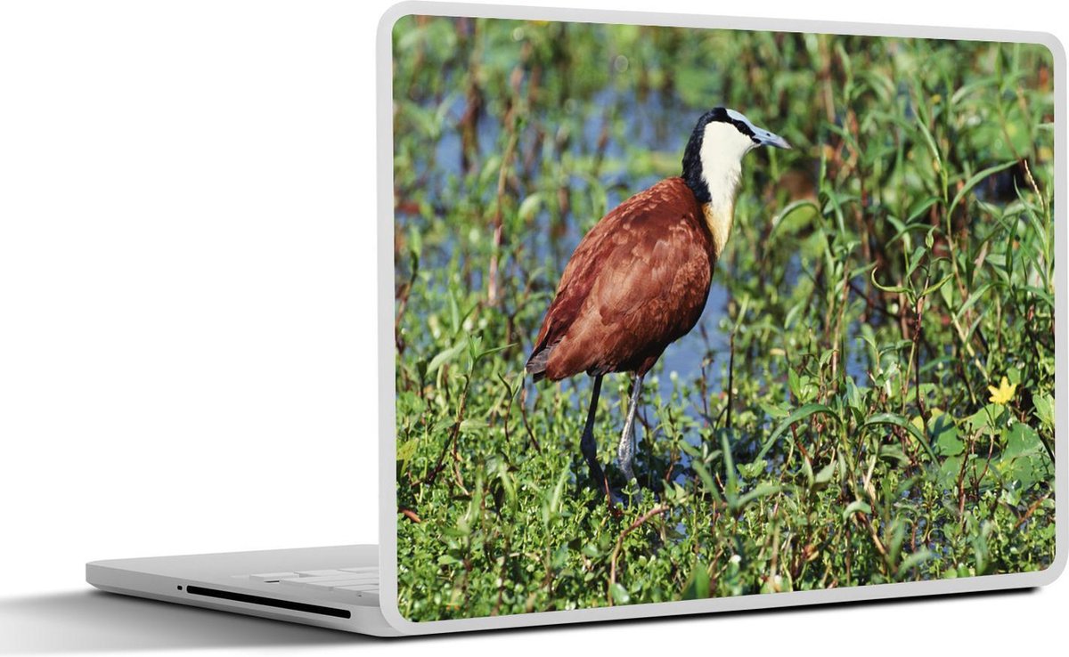 Laptop sticker - 10.1 inch - Afrikaanse jacana of lotusvogel loopt over waterplanten