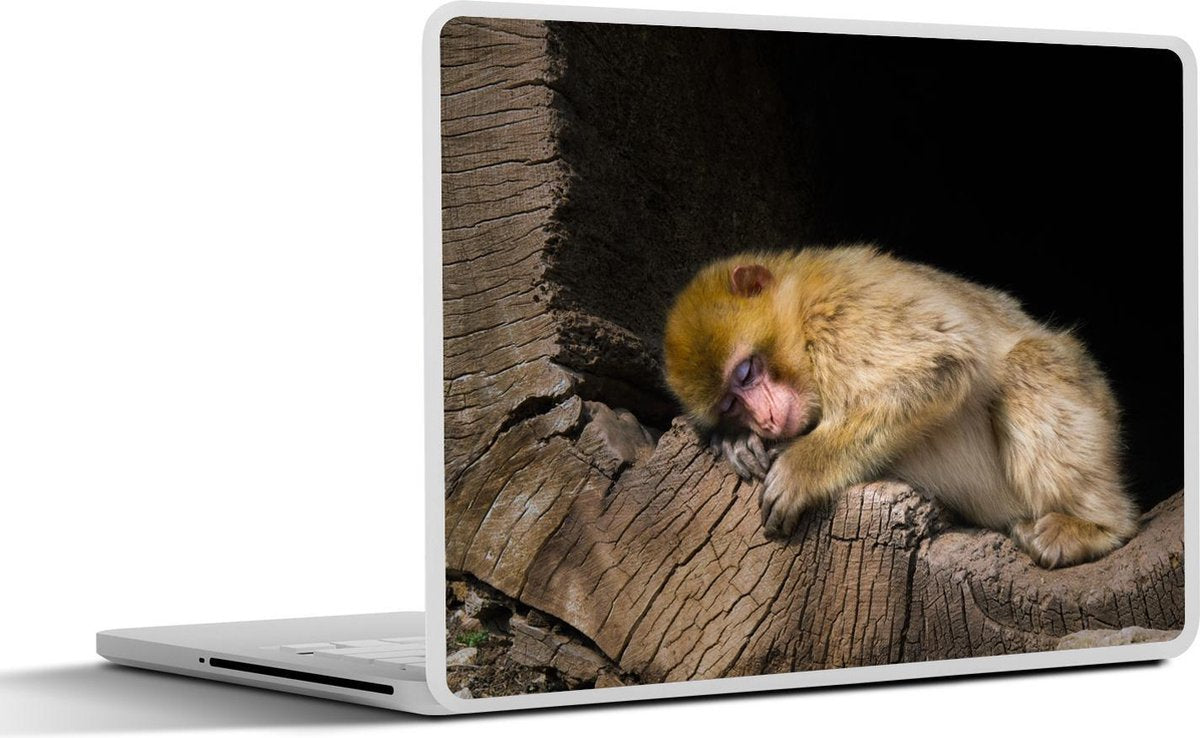 Laptop sticker - 10.1 inch - Aap - Boomstam - Slapen