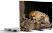 Laptop sticker - 10.1 inch - Aap - Boomstam - Slapen