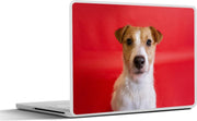 Laptop sticker - 10.1 inch -  een Jack Russel voor rode achtergrond