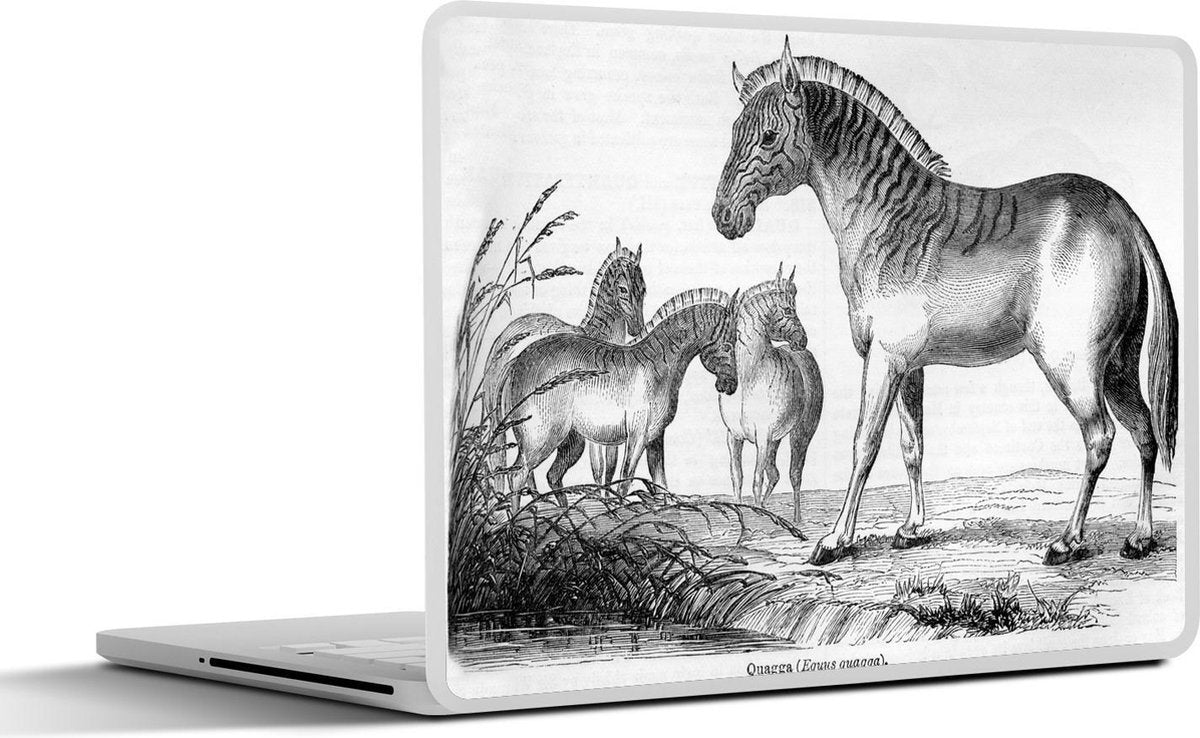 Laptop sticker - 10.1 inch - Illustratie van een groep Quagga's