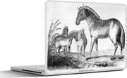 Laptop sticker - 10.1 inch - Illustratie van een groep Quagga's