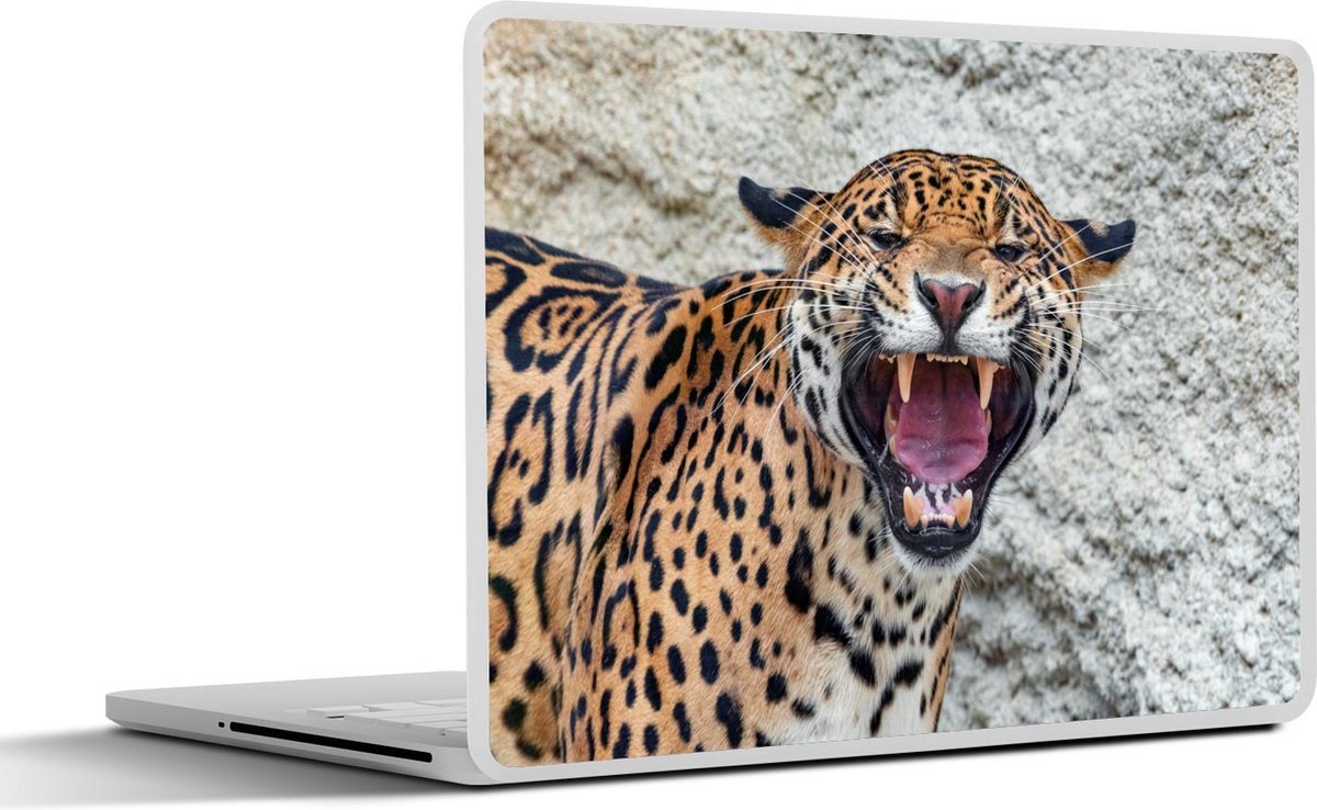 Laptop sticker - 10.1 inch - Jaguar - Tanden - Rots