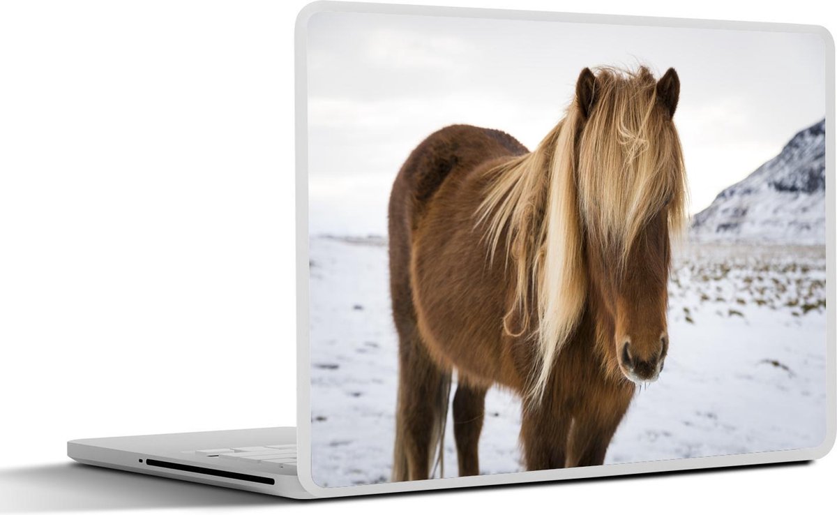 Laptop sticker - 10.1 inch -  een nieuwsgierig IJslander paard
