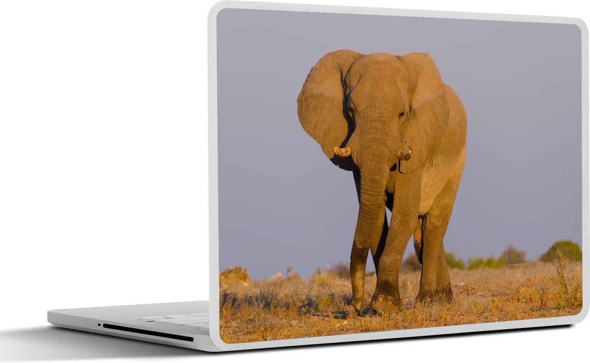 Laptop sticker - 10.1 inch - Afrikaanse olifant in het zand