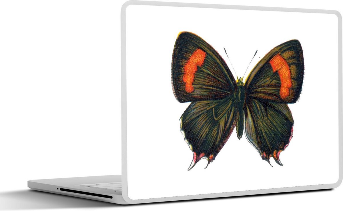 Laptop sticker - 10.1 inch - Illustratie van een bruine vlinder met oranje strepen