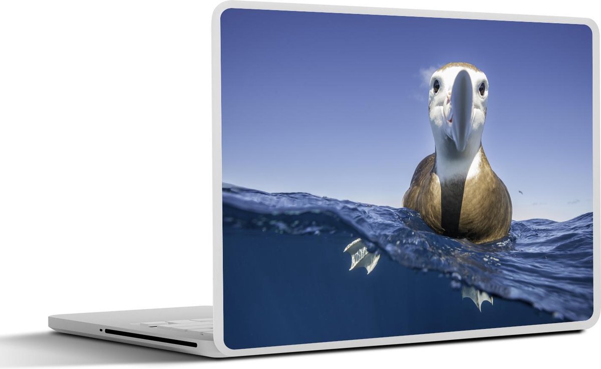 Laptop sticker - 10.1 inch - Albatros in het water