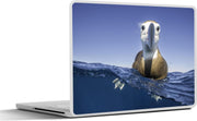 Laptop sticker - 10.1 inch - Albatros in het water