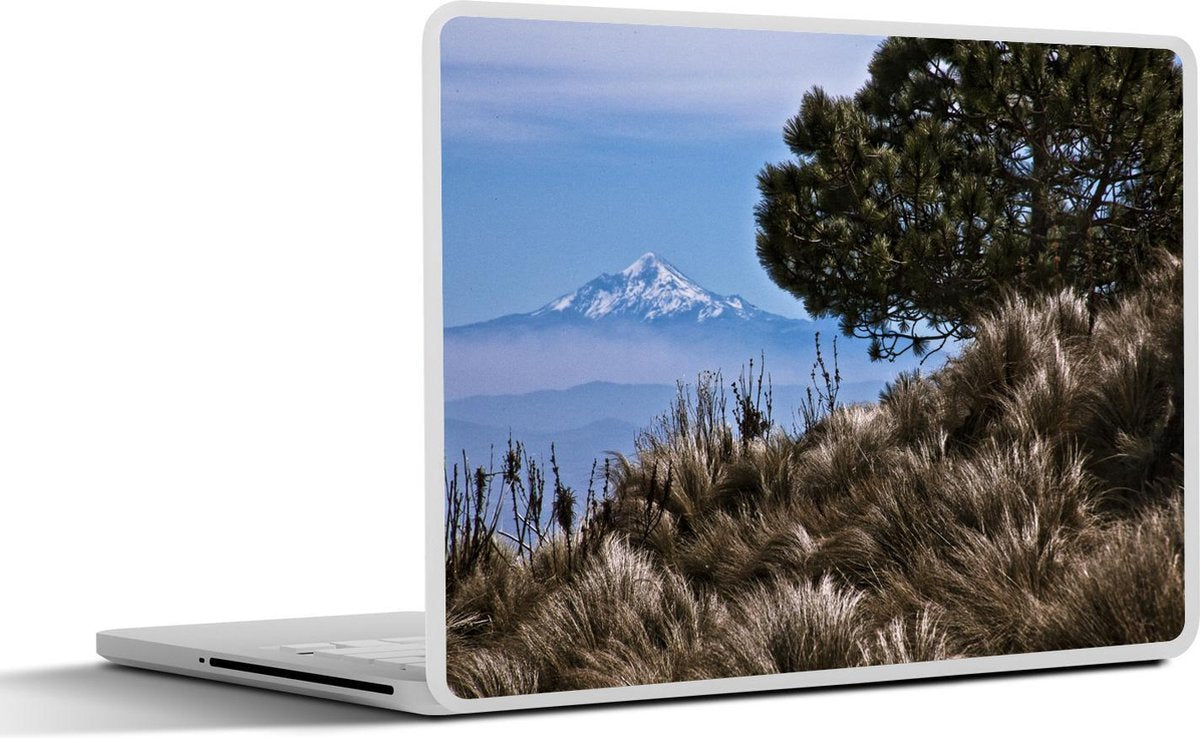 Laptop sticker - 10.1 inch - Indrukwekkende weergave van het Nationaal park Pico de Orizaba in Mexico