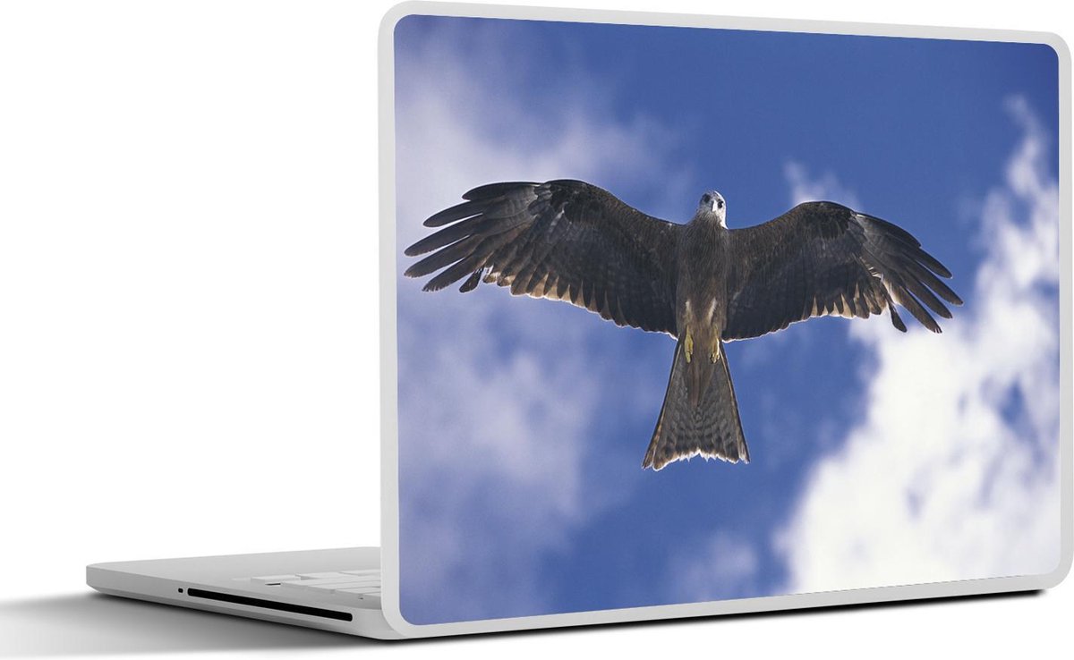 Laptop sticker - 10.1 inch - Indrukwekkende grijze wouw van onderaf gezien tijdens een vlucht