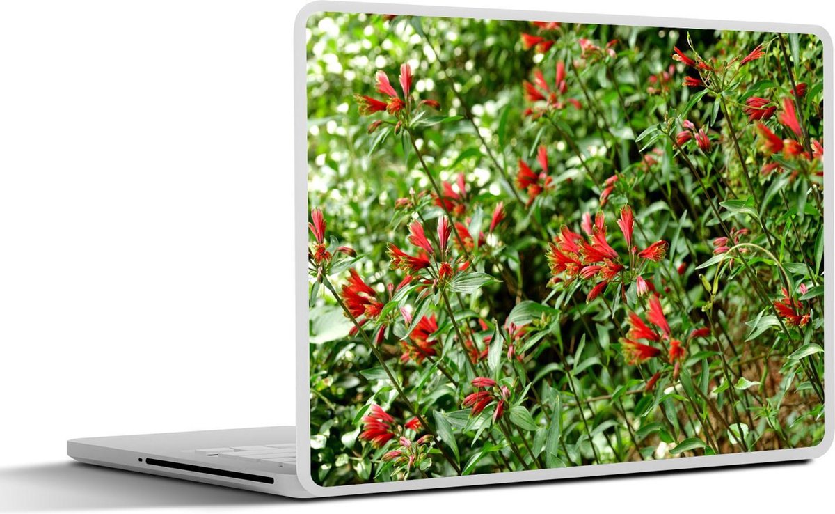 Laptop sticker - 10.1 inch - Alstroemeria's met bloemen bovenaan een lange dunne stengel
