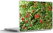 Laptop sticker - 10.1 inch - Alstroemeria's met bloemen bovenaan een lange dunne stengel