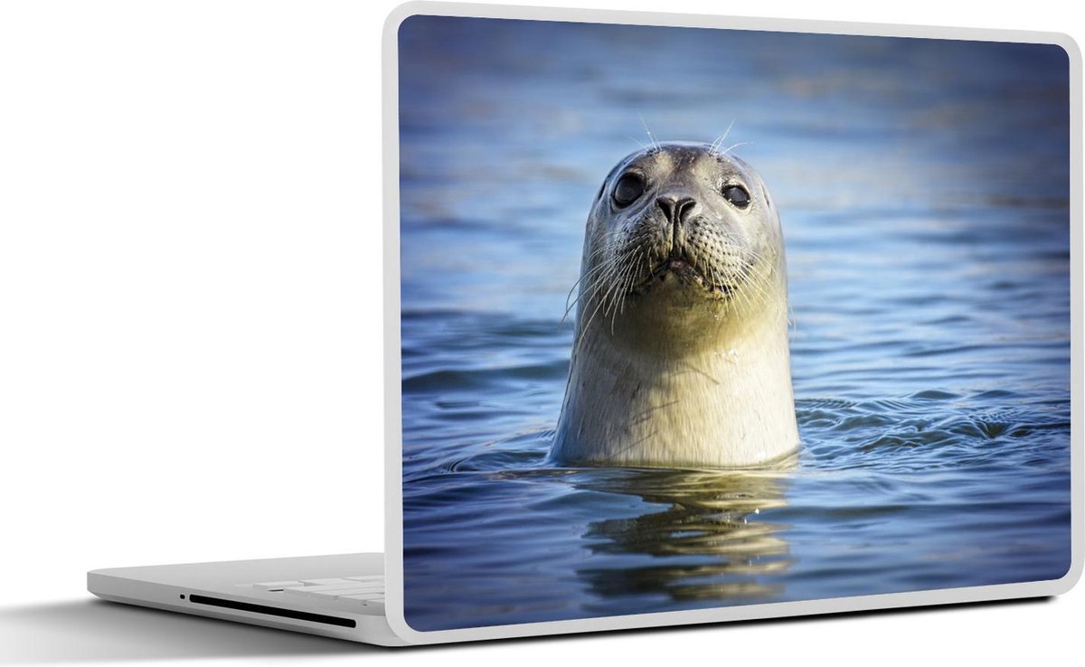 Laptop sticker - 10.1 inch -  een zeehond met zijn kop boven water