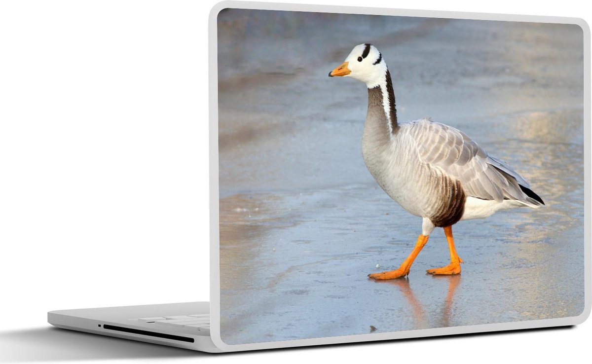 Laptop sticker - 10.1 inch - Indische gans loopt op het ijs