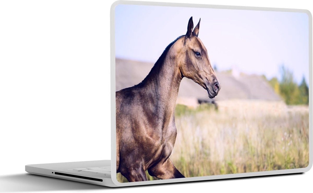 Laptop sticker - 10.1 inch - Akhal-Teke in weiland