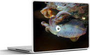 Laptop sticker - 10.1 inch - Inktvis in de Rode Zee met reflectie