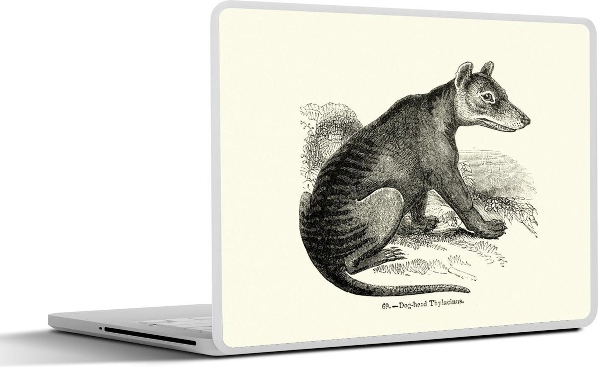 Laptop sticker - 10.1 inch - Illustratie van een jonge buidelwolf