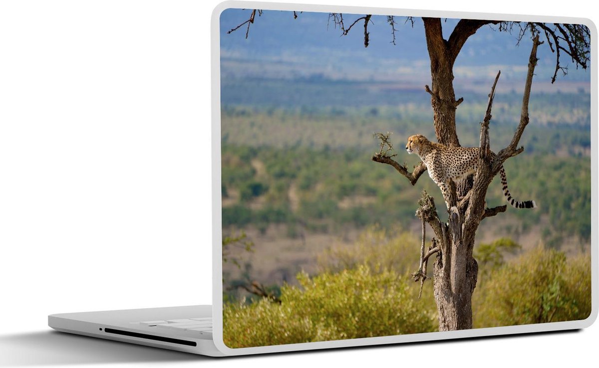 Laptop sticker - 10.1 inch - Jachtluipaard in een boom op zoek naar prooi
