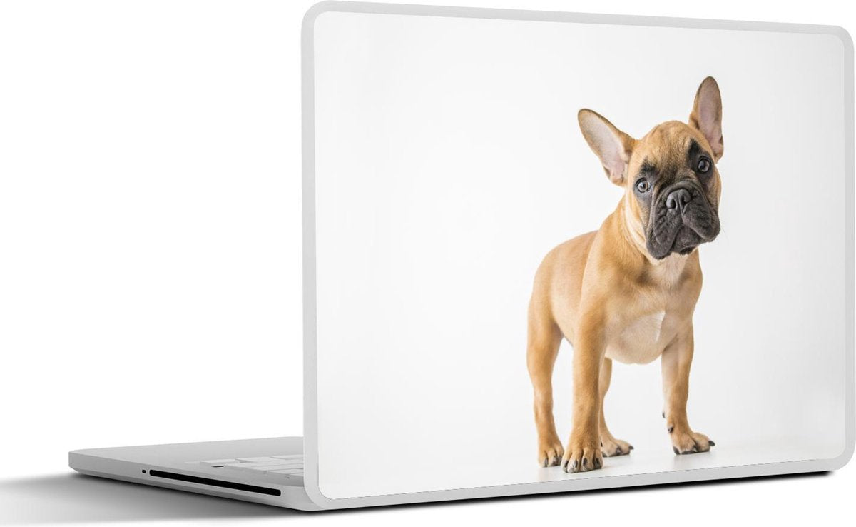 Laptop sticker - 10.1 inch -  een Franse buldog
