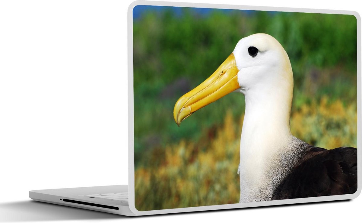 Laptop sticker - 10.1 inch - Albatros staat op land