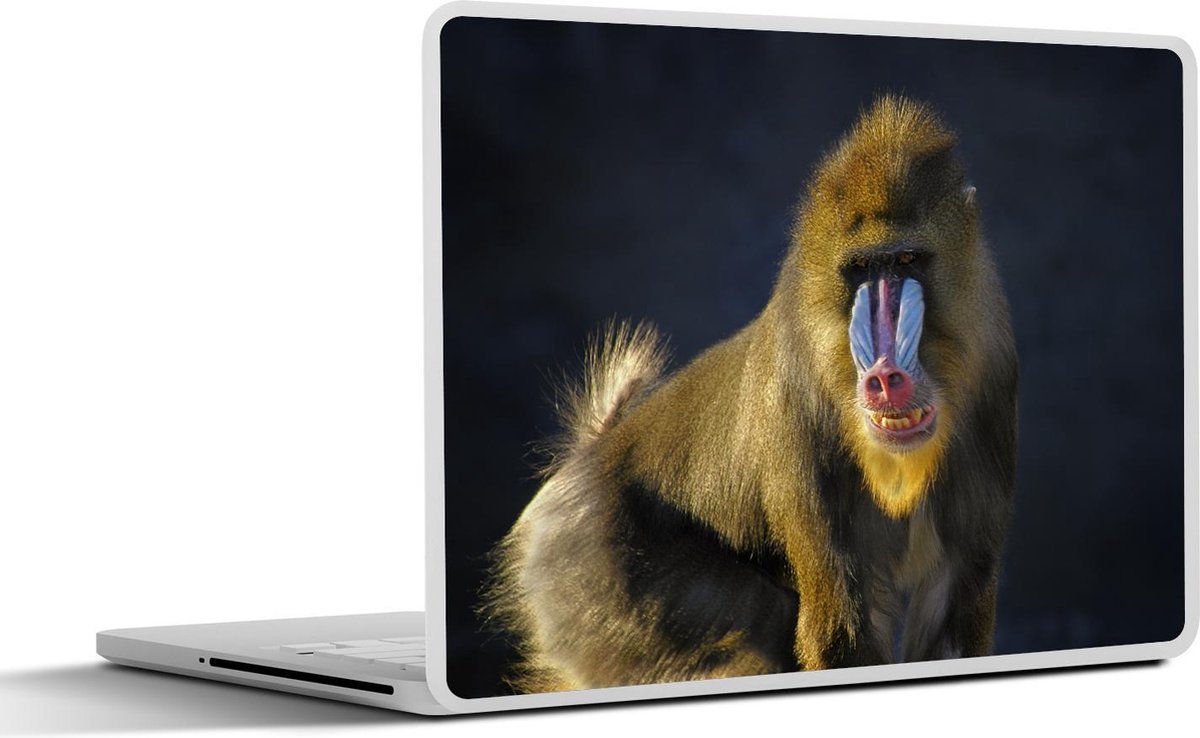 Laptop sticker - 10.1 inch - Aap - Zwart
