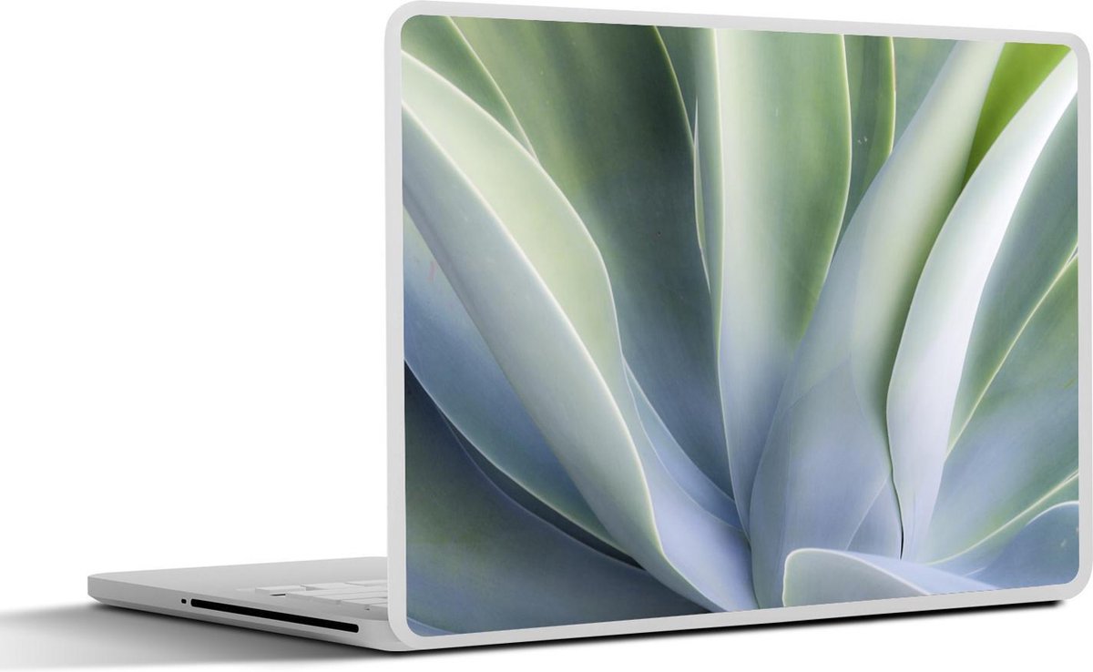 Laptop sticker - 10.1 inch - Agave bladeren