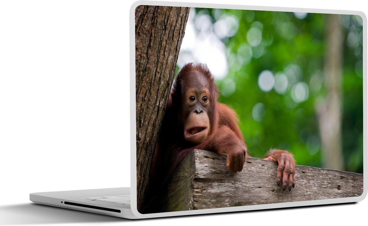 Laptop sticker - 10.1 inch - Aap - Boom - Wild