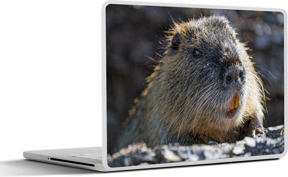 Laptop sticker - 10.1 inch -  een beverrat