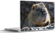 Laptop sticker - 10.1 inch -  een beverrat