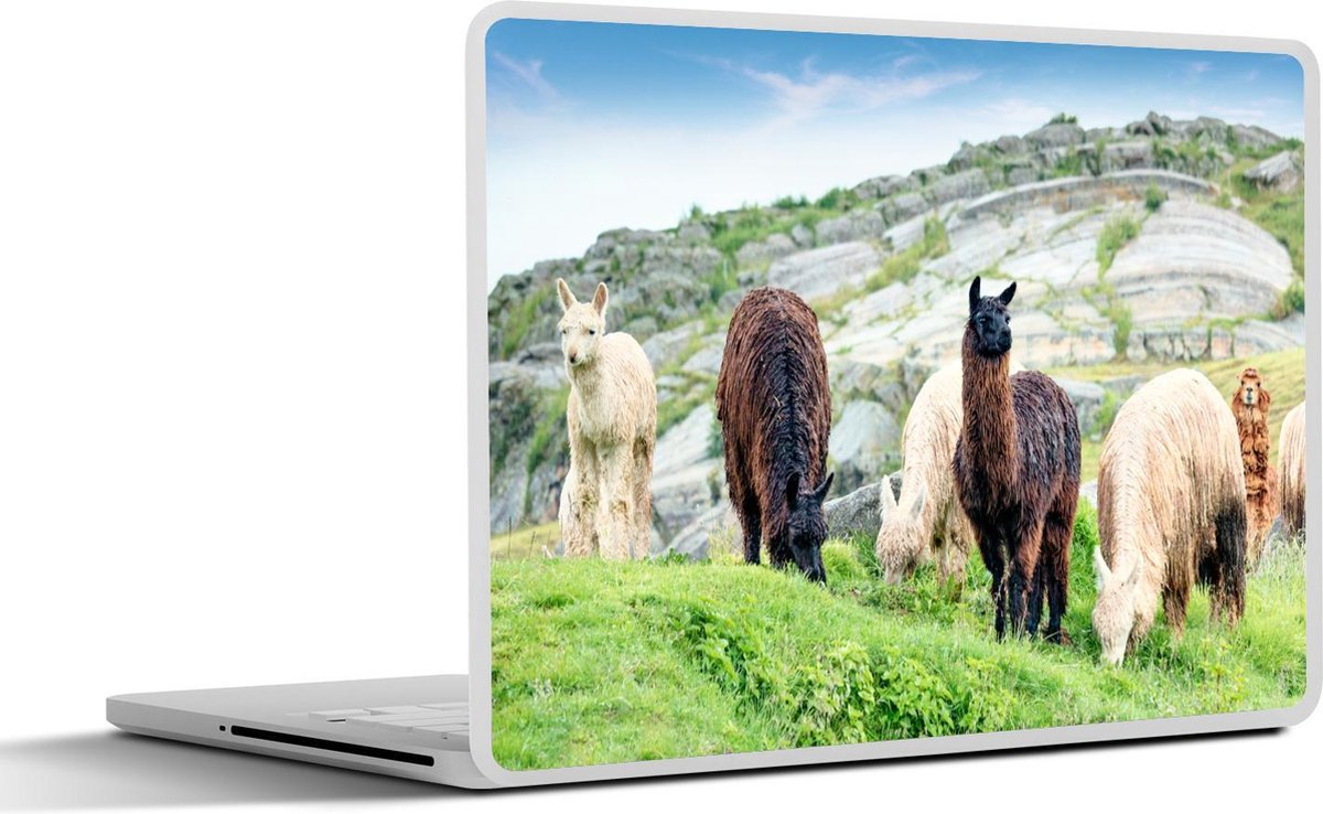 Laptop sticker - 10.1 inch - Alpaca in Peru