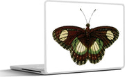 Laptop sticker - 10.1 inch - Illustratie van een donkerrood met groene vlinder