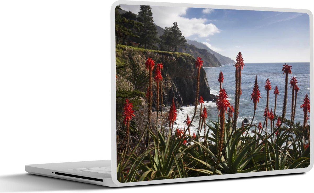 Laptop sticker - 10.1 inch - Aloë Vera langs de kust Big Sur in Amerika