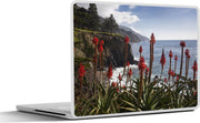 Laptop sticker - 10.1 inch - Aloë Vera langs de kust Big Sur in Amerika