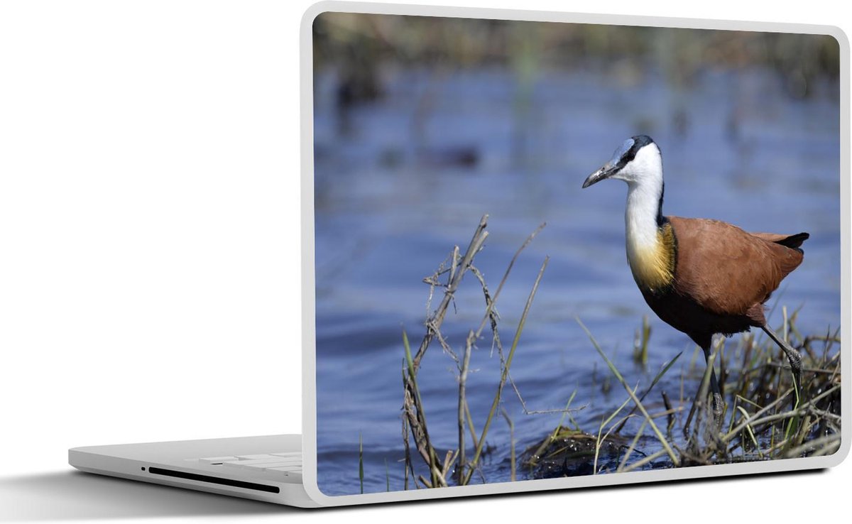 Laptop sticker - 10.1 inch - Afrikaanse jacana komt aan bij het water
