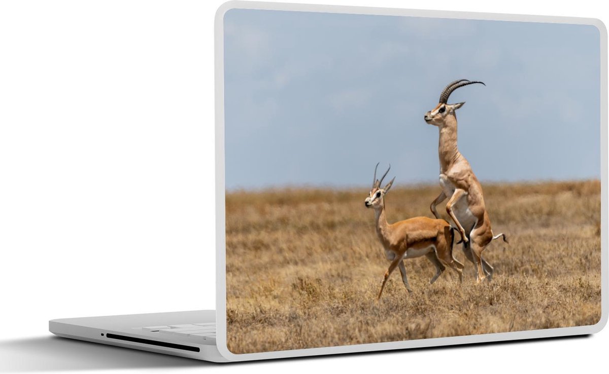 Laptop sticker - 10.1 inch - Afrika - Gras - Gazelle