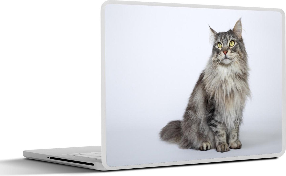 Laptop sticker - 10.1 inch -  een grijze Maine Coon kat