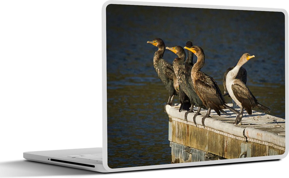 Laptop sticker - 10.1 inch - Aantal Geoorde Aalscholver bij elkaar