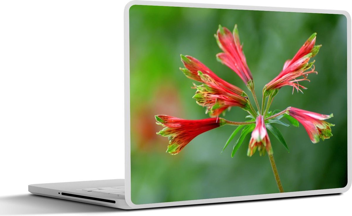 Laptop sticker - 10.1 inch - Alstroemeria met bloemen bovenaan lange dunne stengel