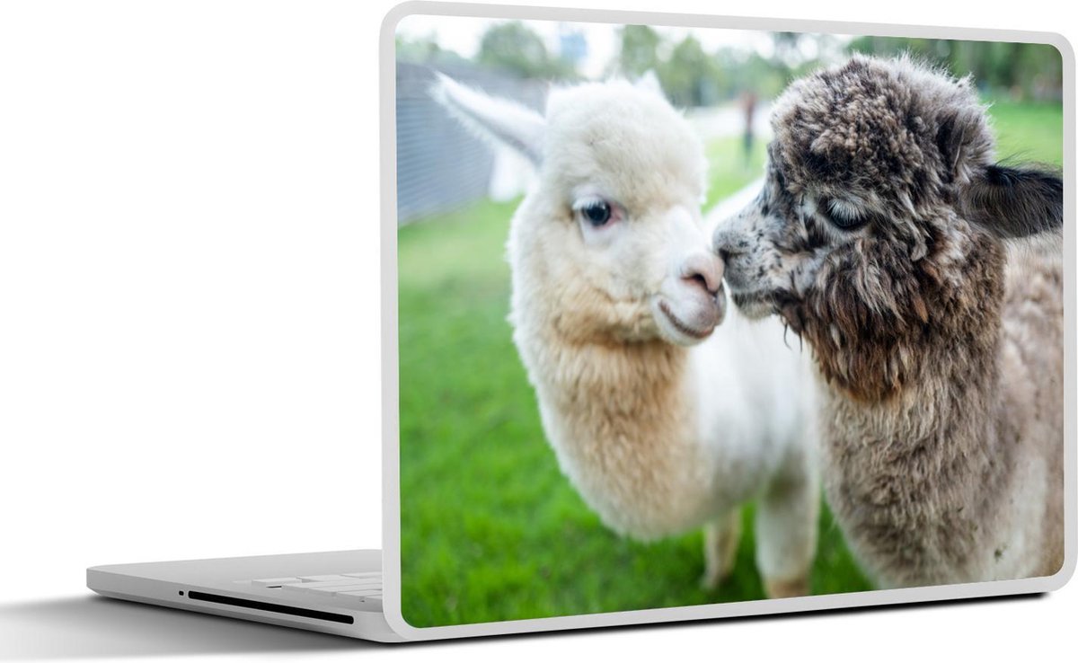 Laptop sticker - 10.1 inch - Alpaca liefde