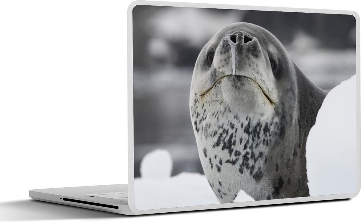 Laptop sticker - 10.1 inch -  een zeeluipaard in de sneeuw