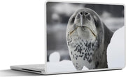 Laptop sticker - 10.1 inch -  een zeeluipaard in de sneeuw