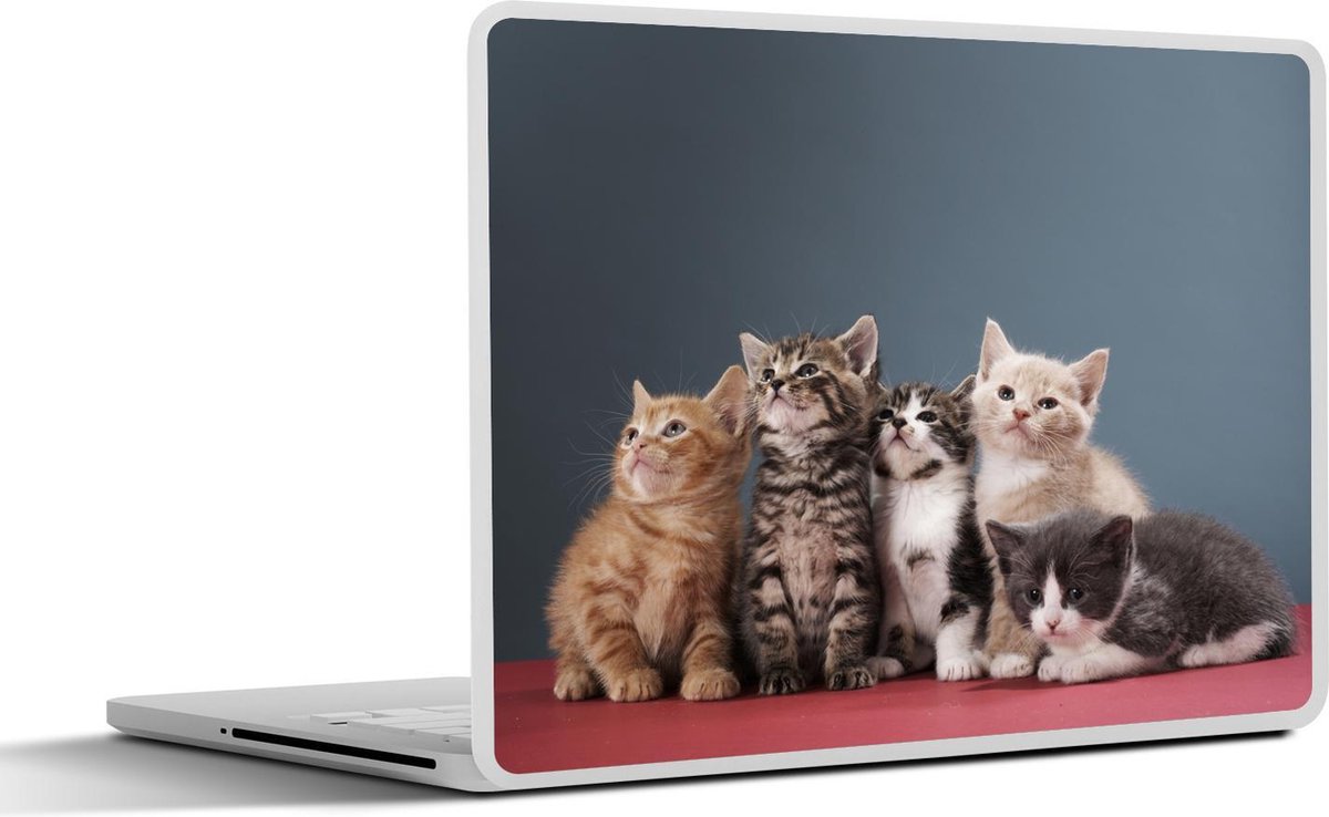 Laptop sticker - 10.1 inch -  groep kittens