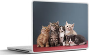 Laptop sticker - 10.1 inch -  groep kittens