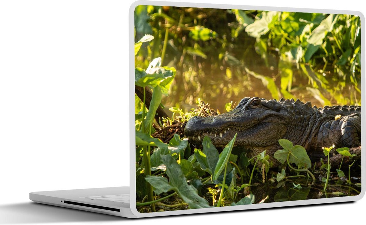 Laptop sticker - 10.1 inch - Amerikaanse alligator in de natuur