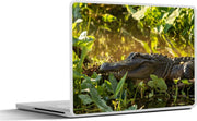 Laptop sticker - 10.1 inch - Amerikaanse alligator in de natuur