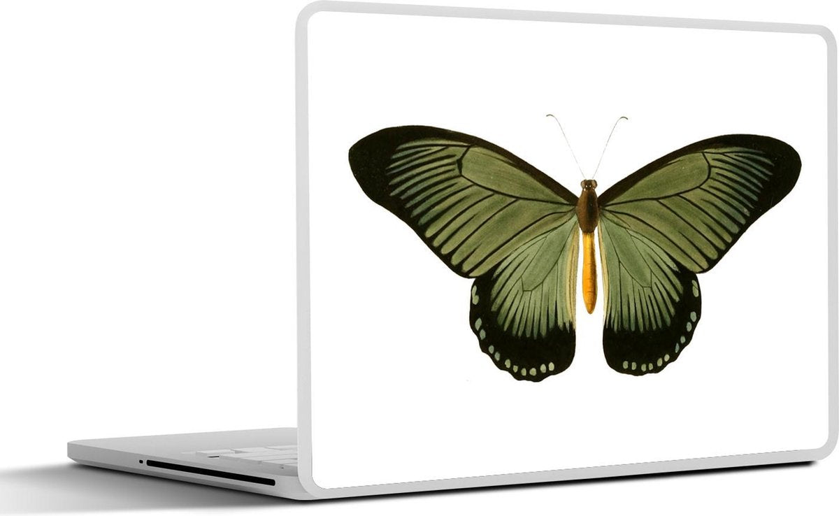 Laptop sticker - 10.1 inch - Illustratie van een groene vlinder