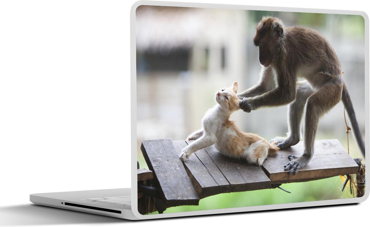 Laptop sticker - 10.1 inch - Aap in gevecht met een kitten