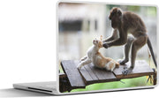 Laptop sticker - 10.1 inch - Aap in gevecht met een kitten
