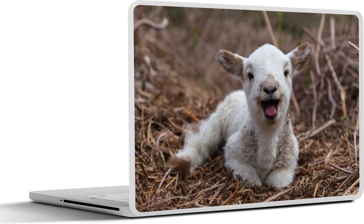 Laptop sticker - 10.1 inch - Afbeelding van een net geboren lammetje